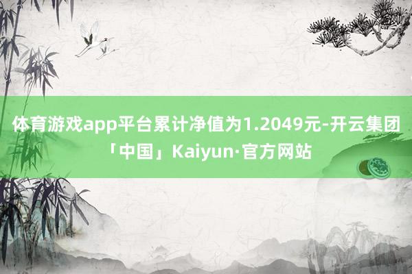 体育游戏app平台累计净值为1.2049元-开云集团「中国」Kaiyun·官方网站