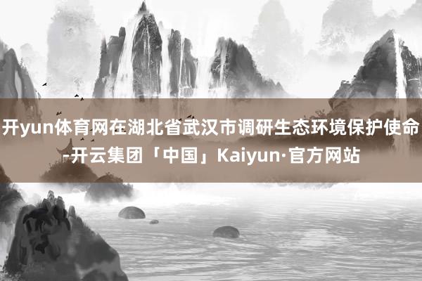 开yun体育网在湖北省武汉市调研生态环境保护使命-开云集团「中国」Kaiyun·官方网站