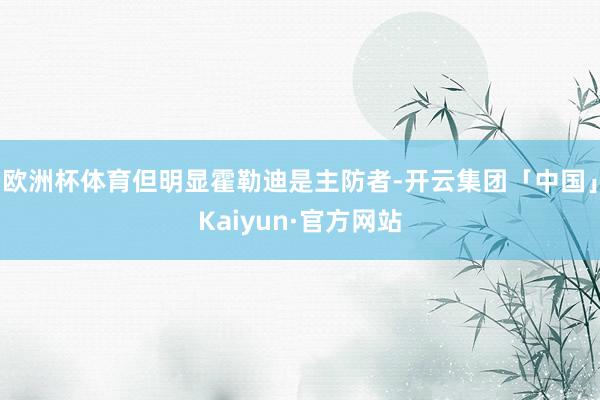 欧洲杯体育但明显霍勒迪是主防者-开云集团「中国」Kaiyun·官方网站