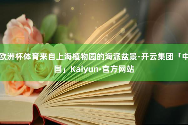 欧洲杯体育来自上海植物园的海派盆景-开云集团「中国」Kaiyun·官方网站