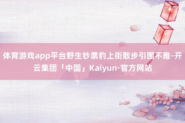 体育游戏app平台野生钞票豹上街散步引围不雅-开云集团「中国」Kaiyun·官方网站