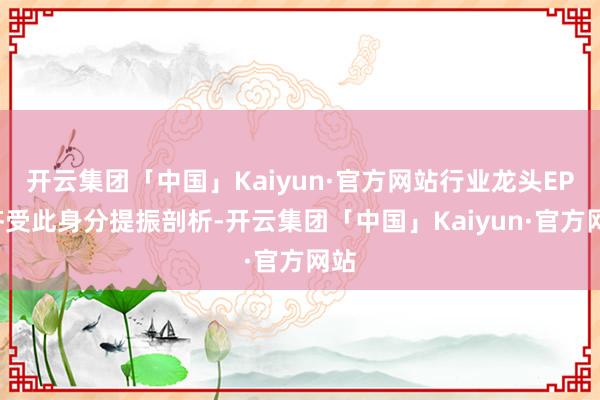 开云集团「中国」Kaiyun·官方网站行业龙头EPS齐受此身分提振剖析-开云集团「中国」Kaiyun·官方网站