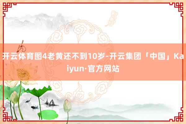 开云体育图4老黄还不到10岁-开云集团「中国」Kaiyun·官方网站