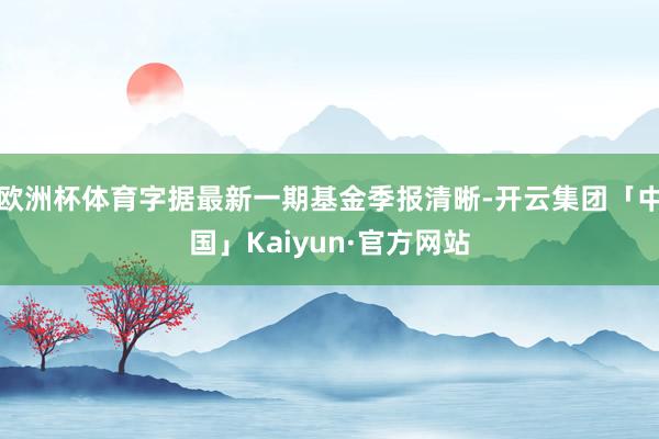 欧洲杯体育字据最新一期基金季报清晰-开云集团「中国」Kaiyun·官方网站